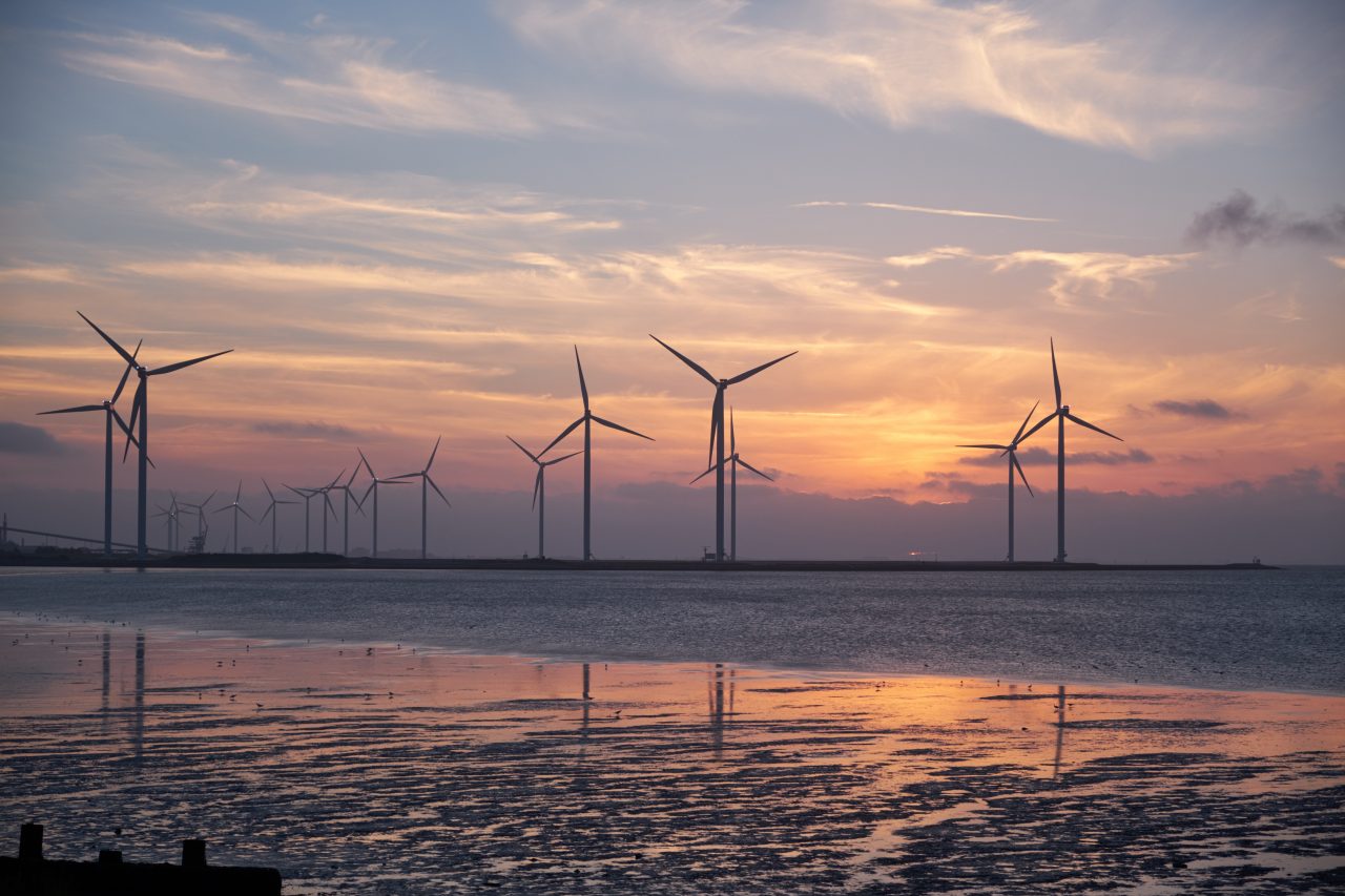 wind farm on the seaside